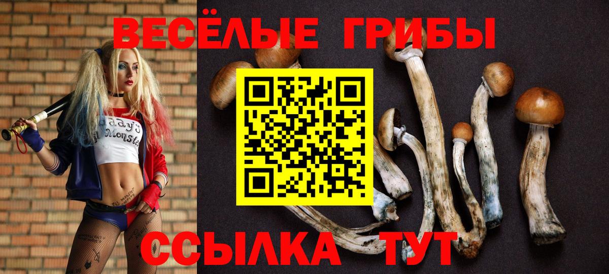 Галлюциногенные грибы мицелий  Вход с VPN  Галлюциногенные грибы Psilocybe  Урус-Мартан 